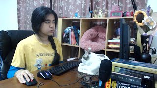 Study With Me Live 8 hours 50/10 🐈