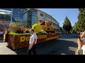 Debreceni Virágkarnevál 2019 | Debrecen Flower Parade 2019