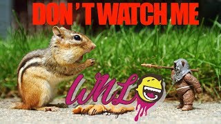 Try Not to Laugh Funny Kids Fails 2018-2019 | Funny Kids & Animals Compilation | WNL