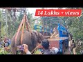 Wild elephant capture  bikkod hassan abhimanyuelephant arjunaelephant dasaraelephants