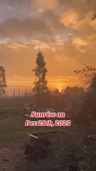 Sunrise on Dec 29th, 2023. #sunrise #morning #beauty