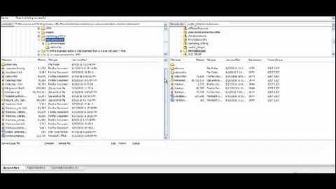 How to Embed a Widget onto your Website.  Video 2