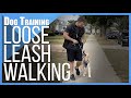 How to Teach ANY DOG to NOT PULL on Leash!