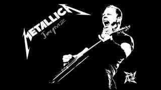 Metallica-Nothing Else Matters (Lyrics off screen)