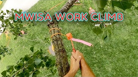 Midwest Isa Work Climb Run