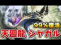 アセンダンス登場予想第１位！MRワイルズで魔強化されそうなシャガルマガラを久しぶりに狩ってきた『モンハンサンブレイク』