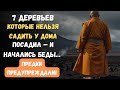 7 Деревьев Которые Нельзя Сажать у Дома по Народным Приметам 7 Деревьев Которые Нельзя Сажать у Дома по Народным Приметам