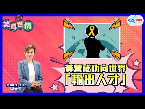 【幫港出聲與HKG報聯合製作‧笑看世情】黃營成功向世界「輸出人才」