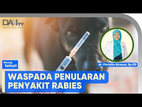 Video: Hari Rabies Sedunia Mencerminkan Kebutuhan akan Kesadaran Rabies