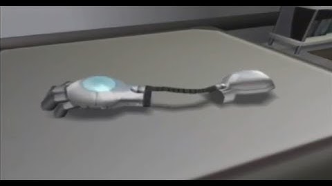 Pokemon XD special ending