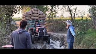 Massey Ferguson 245 142 packet aalu 💪💪 power test #farming