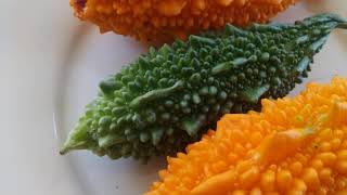 Bitter Gourd, Bitter Melon or Karavila Vegetable in Sri Lanka