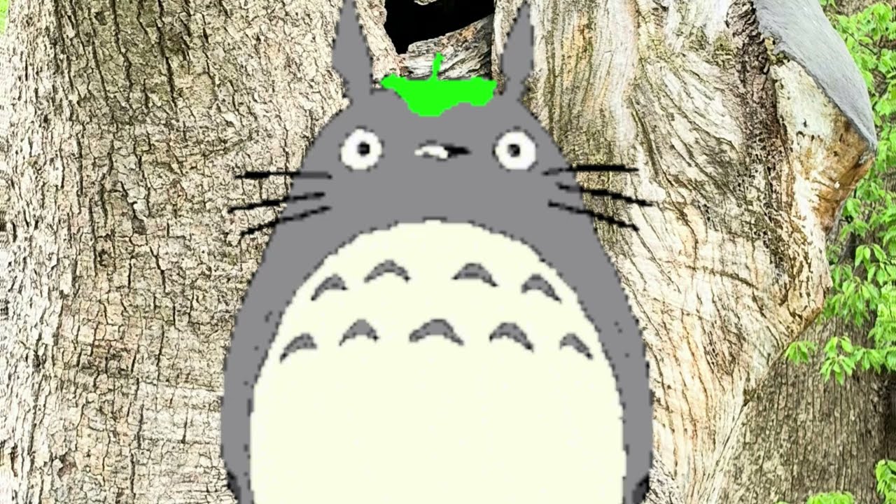 風のとおり道 〈となりのトトロ〉より - YouTube