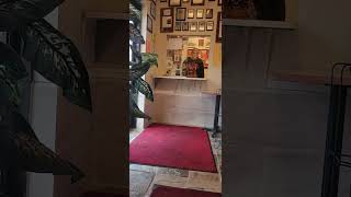 Karen Exposed By Chinese Restaurants