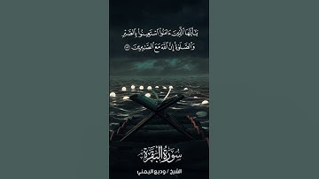 سورة البقرة | Al-Baqarah | آية 153 | الشيخ وديع اليمني