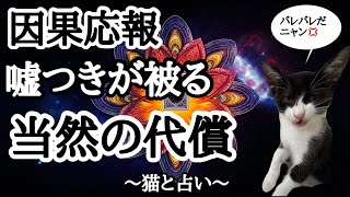 両手のない猫」チビタと愉快な仲間たち