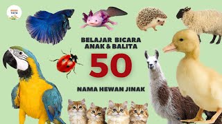Belajar Bicara untuk Bayi dan Balita | 50 Kata Pertama Nama Nama Hewan Jinak |Indonesia Edukasi Anak
