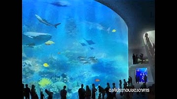 Architectural Programming 52020017