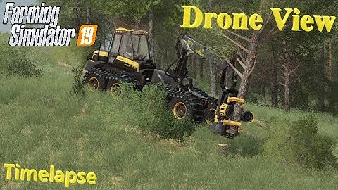 FS19 | 🌲 Drone Footage Of The Bear 🌲 | Timelapse