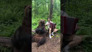 Accordion Player Performs With a Supportive Bear