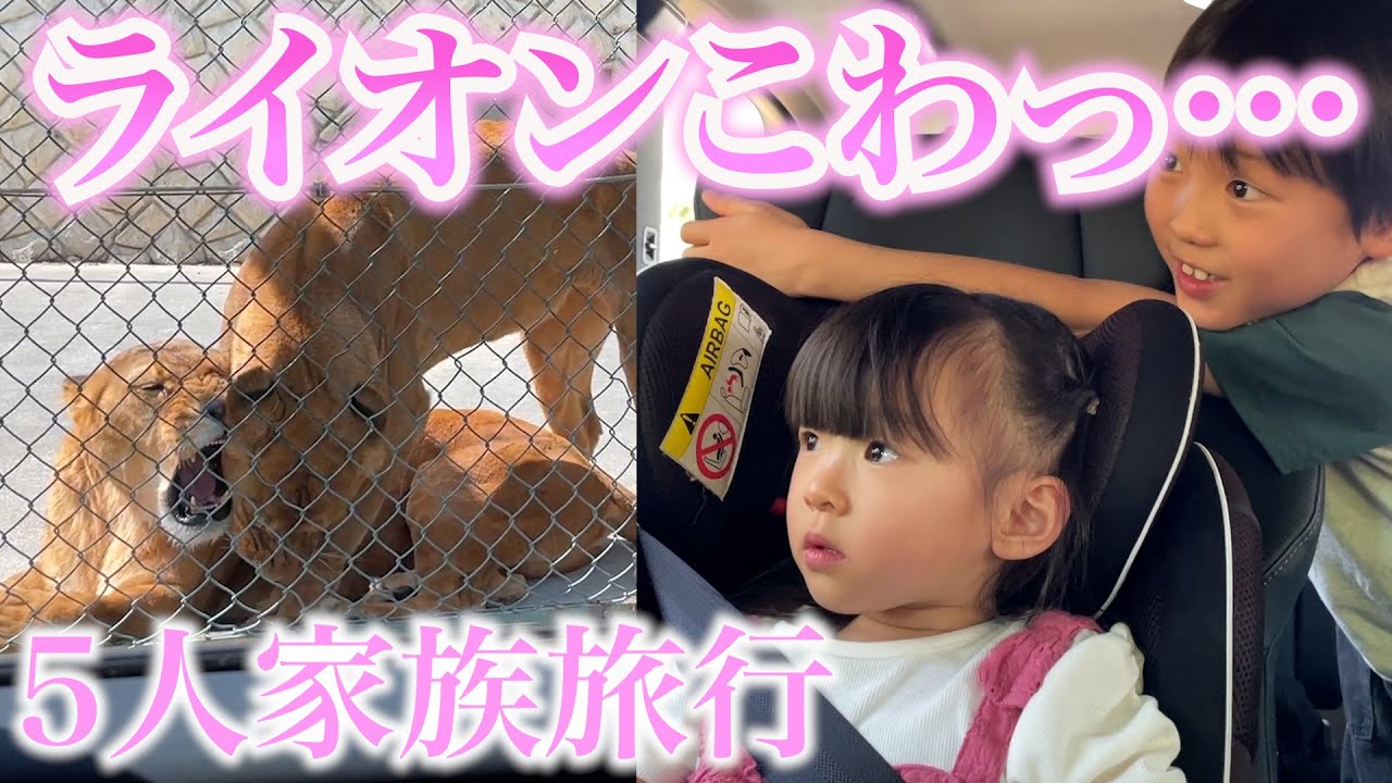 【旅行２日目】ドン引きあり笑いありの群馬サファリパークが最高すぎた!!!!