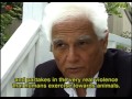 Jacques Derrida And The Question Of "The Animal"