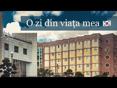 Video: O Zi Din Viața Unui Expat în Suwon, Coreea - Rețeaua Matador