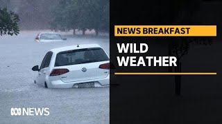 Flood warnings issued as NSW hit with heavy rain | ABC News