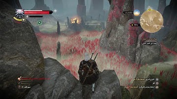 The Witcher 3: Through Time and space Gas world