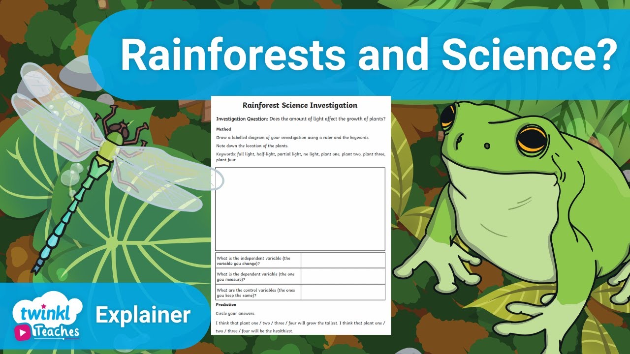 Rainforest Science Investigation | KS2 Science Resources