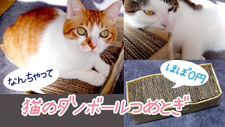 ほぼ０円！とっても簡単！ ダンボールで作る猫の爪とぎの作り方