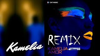 Kamelia - Amor | Studio 66 Remix