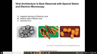 Biol 2115 Chapter 5: Viruses Net Worth