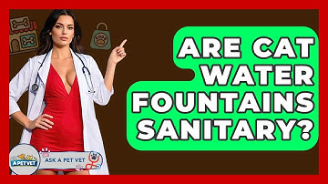 Are Cat Water Fountains Sanitary? - Ask A Pet Vet