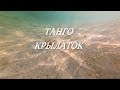 Танго крылаток