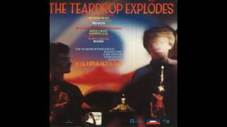 Video thumbnail of "The Teardrop Explodes - Books"