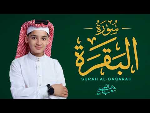 سورة البقرة كاملة جديد و حصري القارئ عبد الله شعبان      