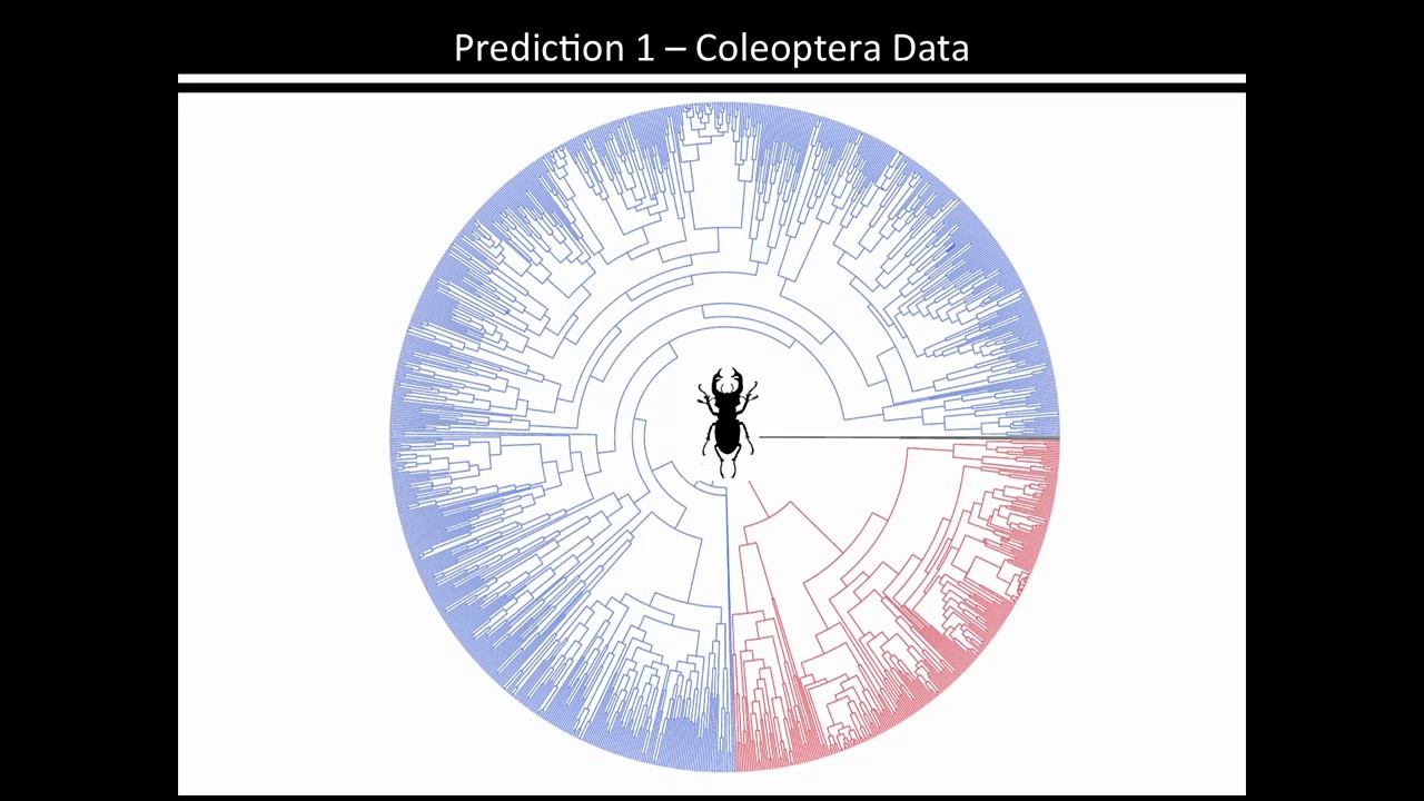 H Blackmon: The role of Y aneuploidy in the evolution of sex chromosomes and genome architecture.