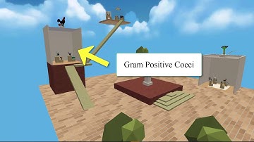 Learn Bacterial Infections of the Lung with a Memory Palace in Munx VR