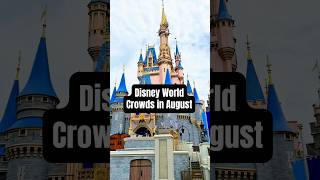 How crowded is it actually at Disney in August🤨 #disneyworld #disneyparks #disneytipsandtricks