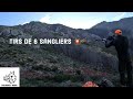 Tirs de 6 sangliers en battuechasse en corse  bastelica