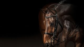 There's Nothing Holdin' Me Back [Equestrian Music Video] Resimi