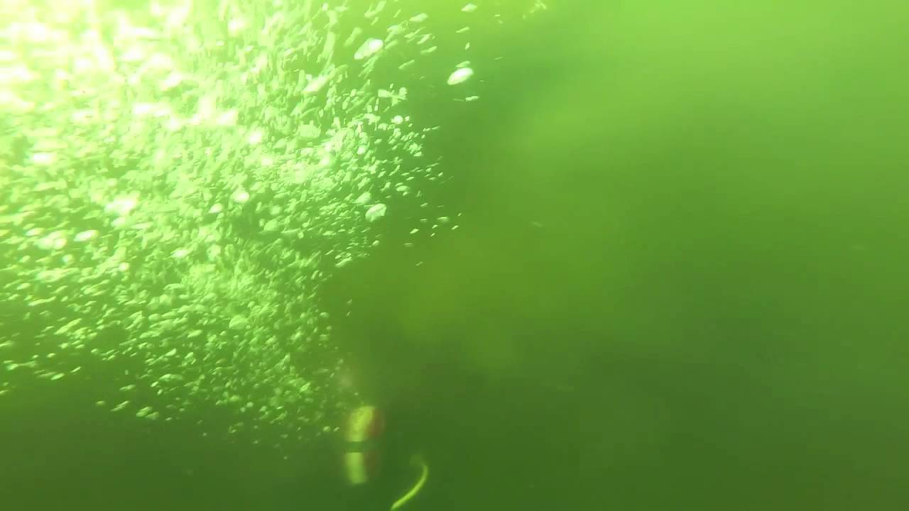 Ellerton Park, YouTube