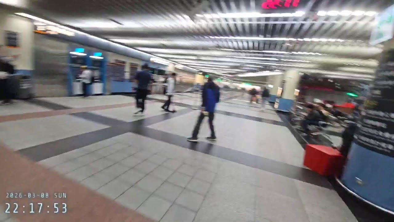 2026年3月8日台灣嘉義燈會