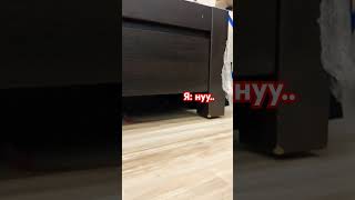 Да я маленького роста