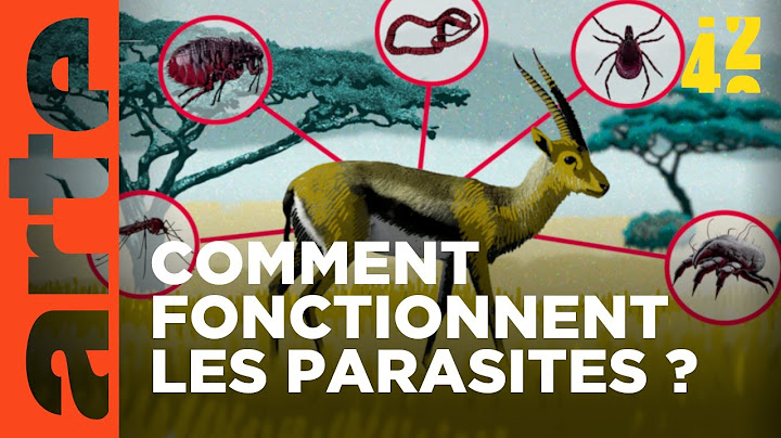 À quoi servent les parasites ? | 42 - La réponse à presque tout | ARTE