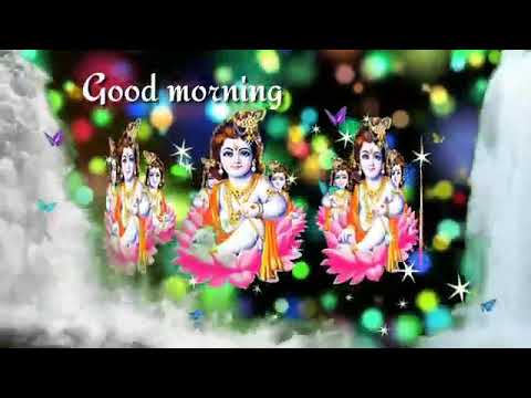 Radhe Radhe Good Morning Status Video By Sachin Kanha Ji No 1