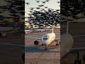 Drone Attack.