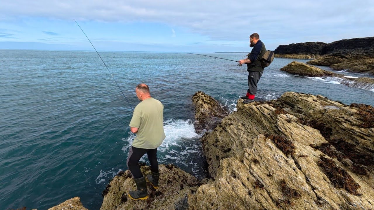 Lure fishing for Bass Wrasse and Pollock
