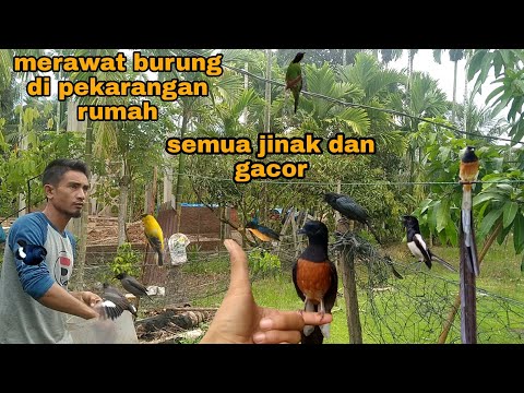 Video: Mengapa Apakah Anjing Jongkok Wanita Terus-menerus?